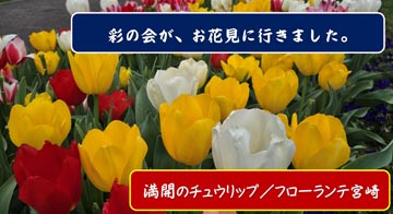 3月30日(月)の「彩の会」は、フローランテ宮崎でお花見でした。
